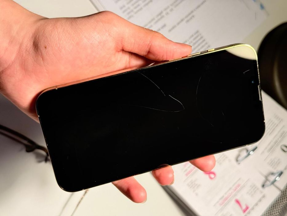 iPhone 13 Pro Max ; 256gb