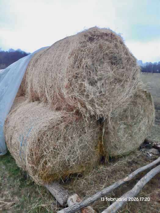 Baloți rotunzi 125x125cm, fân 100% BIO, din Maramureș