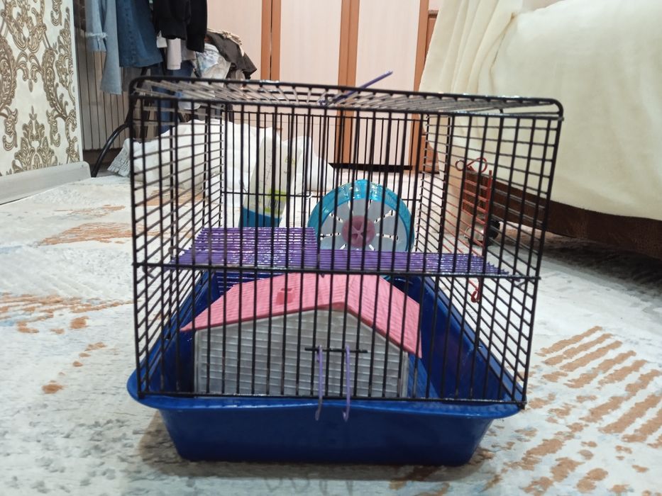 Клетка для хомяков.