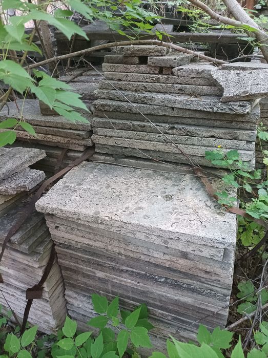 Ракушечная плита.