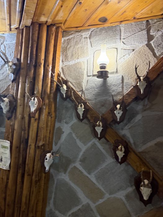 Трофеи от благороден елен