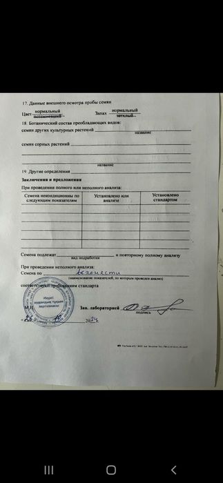 Жоңышқа тұқымы. Семена люцерна