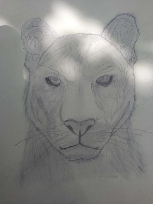 Desene A4 după placul tuturor (exemplu în poze) (fără profil portret)