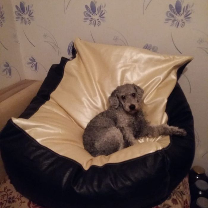 Продам мягкое кресло