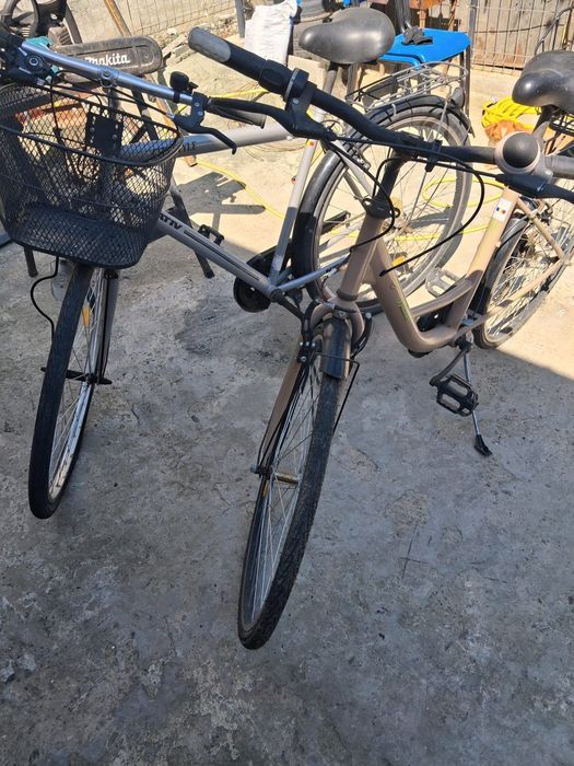Biciclete de damă și bărbătească