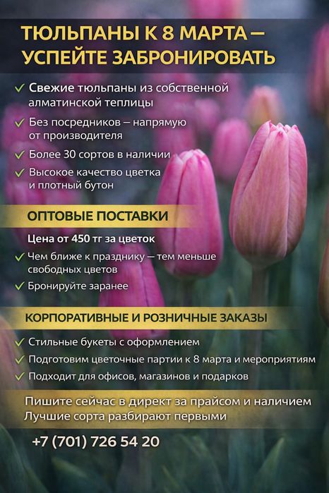 Голландские тюльпаны оптом и в розницу