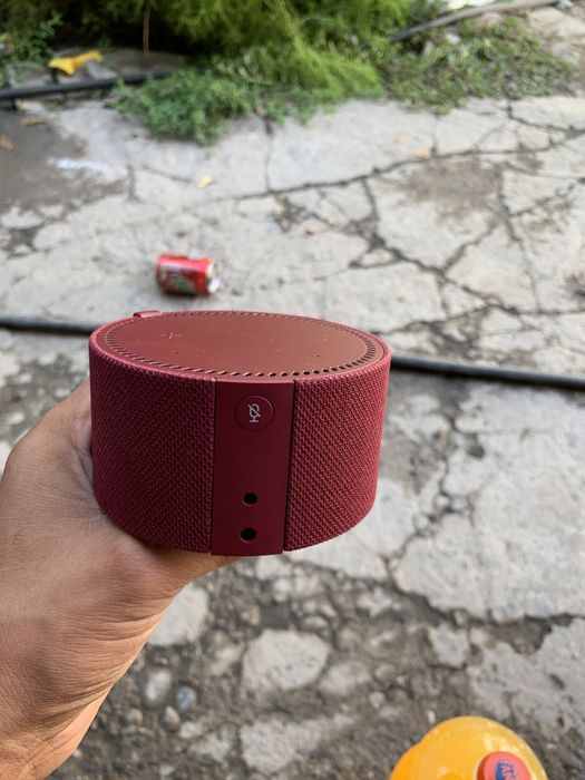 Колонка Алиса Новый Срочно