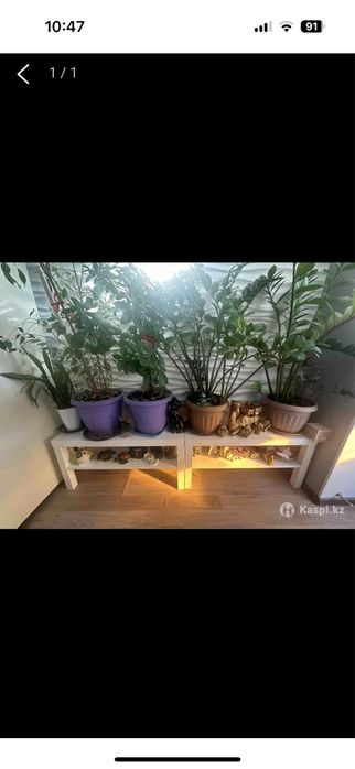 Продаются полки