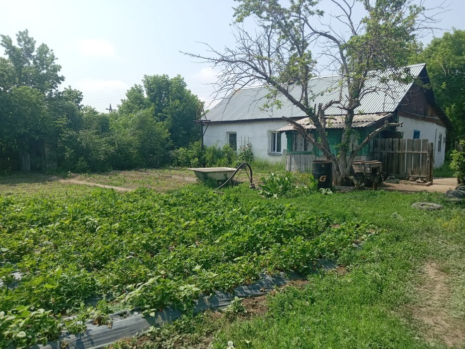 Продам  2 дома каждый