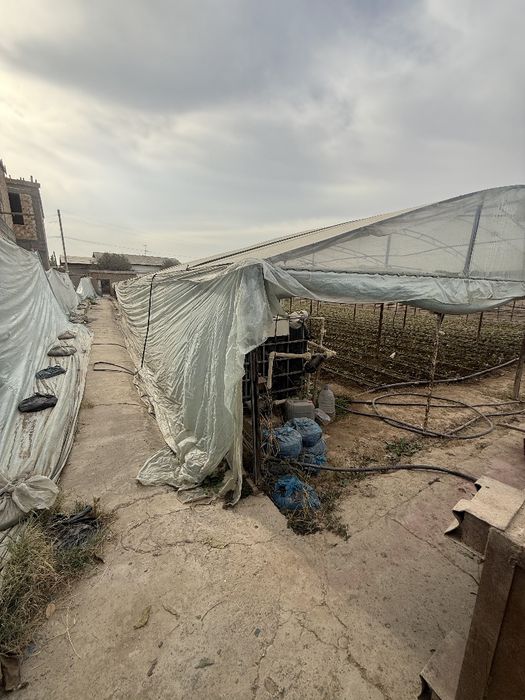 Toshkent viloyati Zangiota ziyoratgohi yaqinidan 8 sotix yer