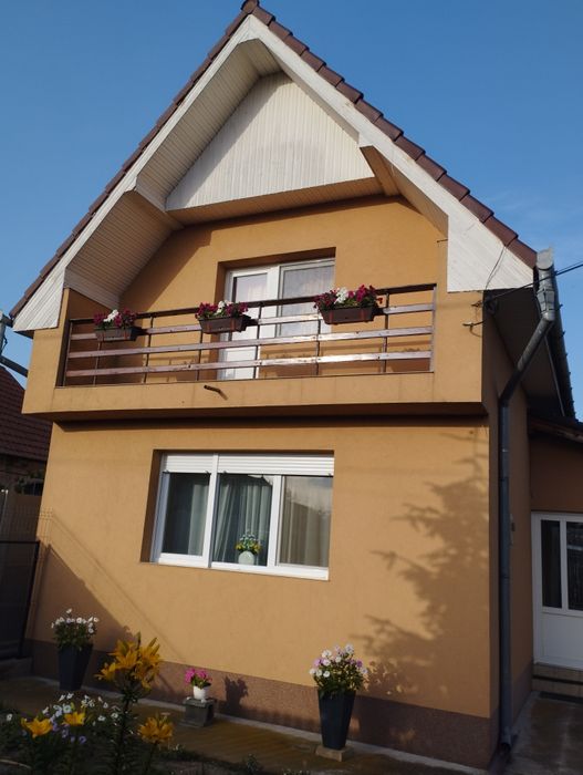 Casă de vânzare în Satu Nou