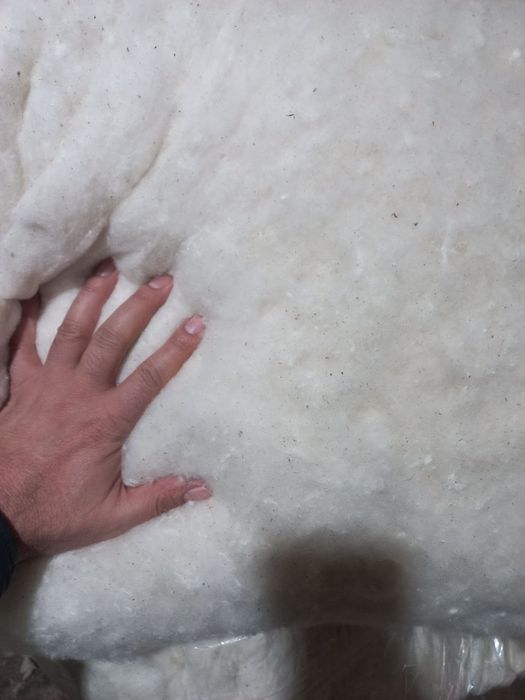 Тай пахта сатилади, высший сорт хам 1 сорт. Пахта сифаты жаксы!