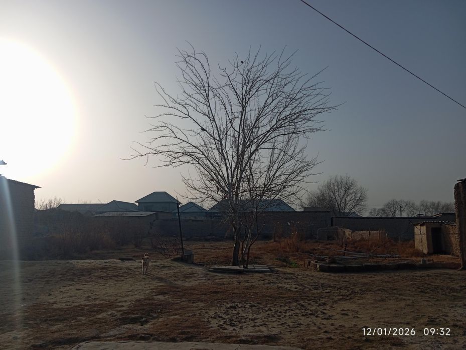 Xovli sotiladi 16 sotuxli Paxtaobod