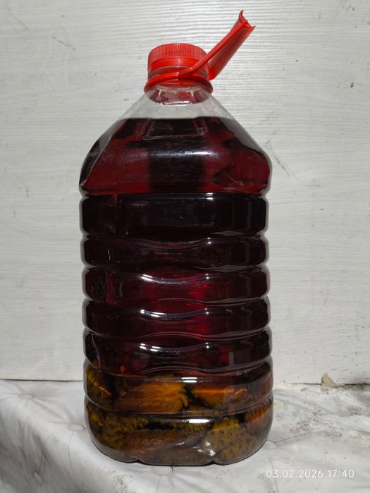 Настойка сосновых шишек