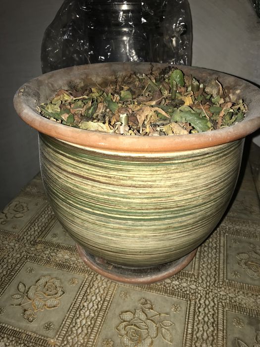 Огурцы маринованные и горшок глиняный