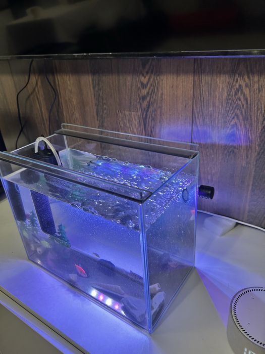 Аквариум с рыбками