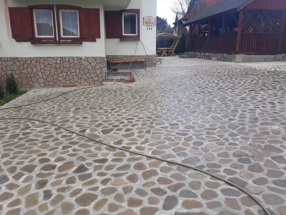 Amenajări spatii verzi