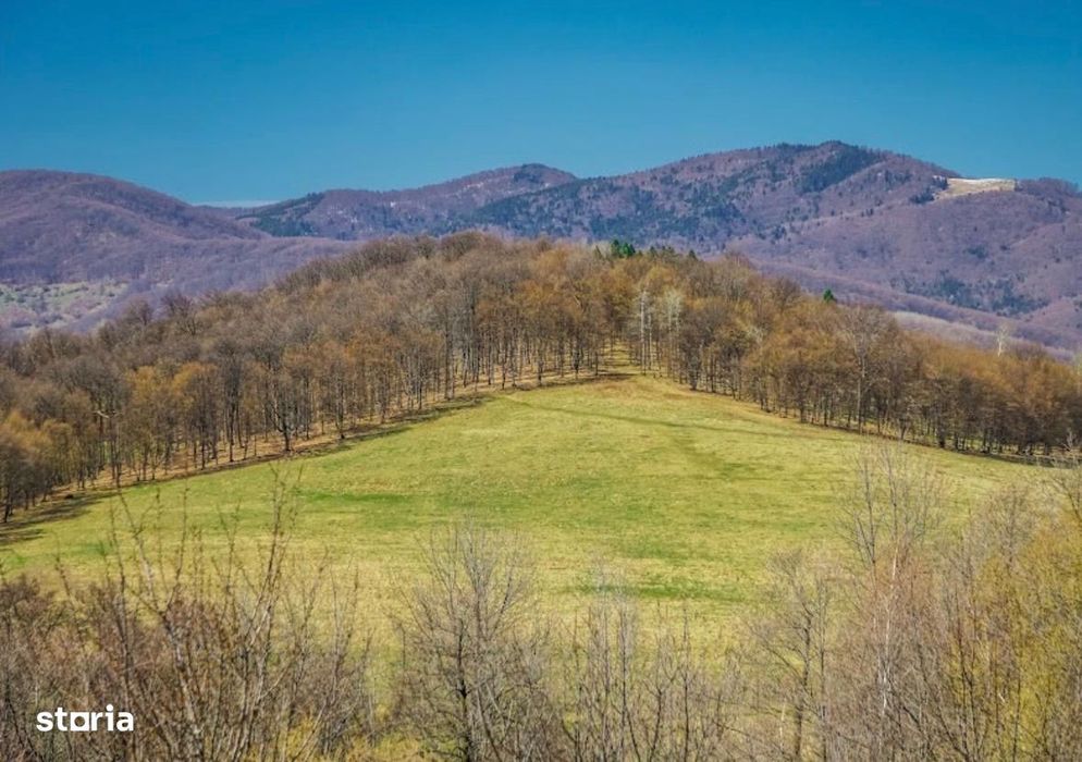 Vanzare teren Slanic Prahova- platoul Teisani