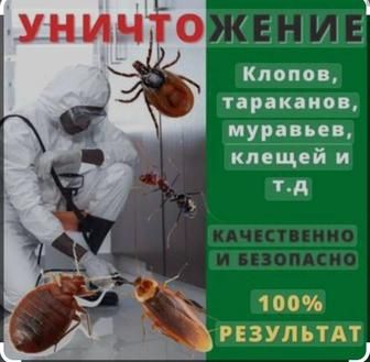 Дезинфекция , обработка помещений от насекомых