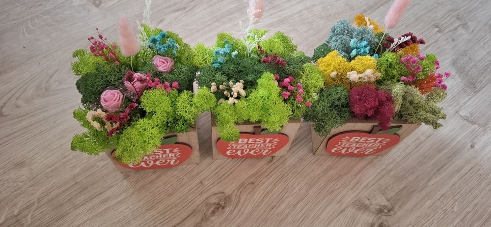 За най- добрия учител