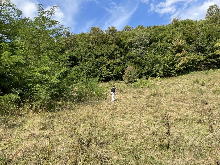 Teren extravilan in com Buces -jud Hunedoara 3648 mCF