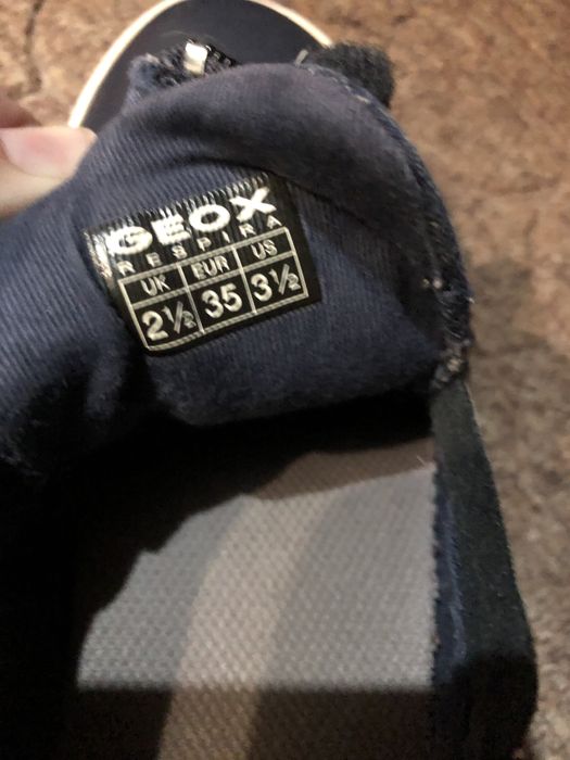 Кеды, кроссовки geox