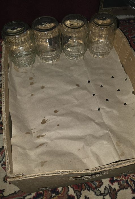 700  borcane de 800 gr curate, in cutii, 40 borcane cutia, 1,5  lei borcanul pt toate 17 cutii
