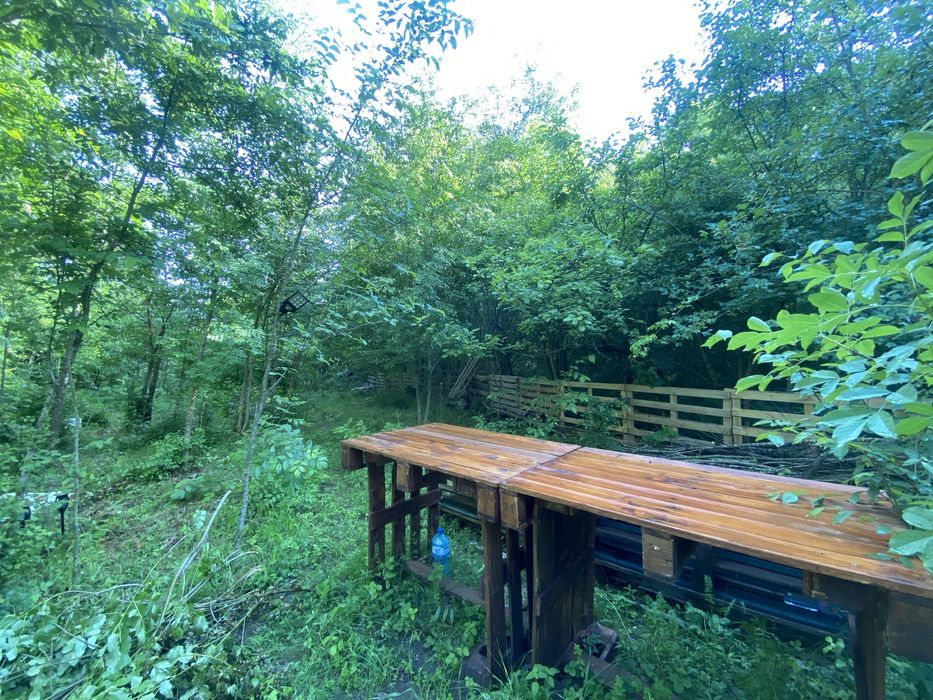 Продава се Парцел в с. Долище, Област Варна - 5000 кв.м за 5 €/кв.м - Снимка #9