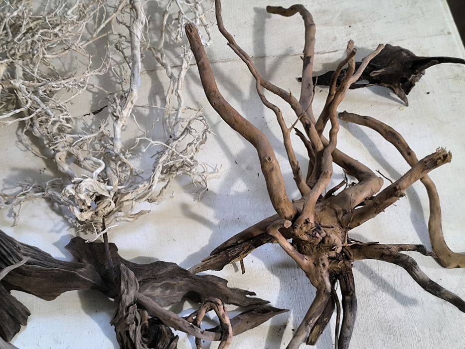 Аквариуми със стъклен капак нови