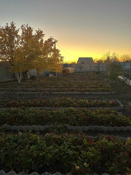 Продается дача (11 соток)