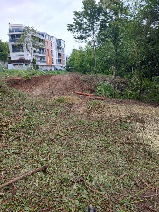 Рязане на Опасни дървета  чистене на дворове и парцели