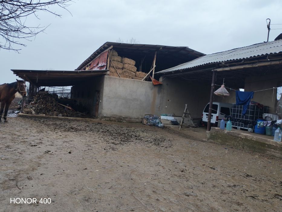 Bo'stonliq tumanidan mol chorvachiligi uchun mol xona yer sotiladi