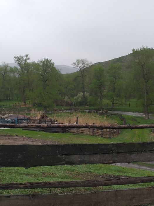 Деревенское козье молоко