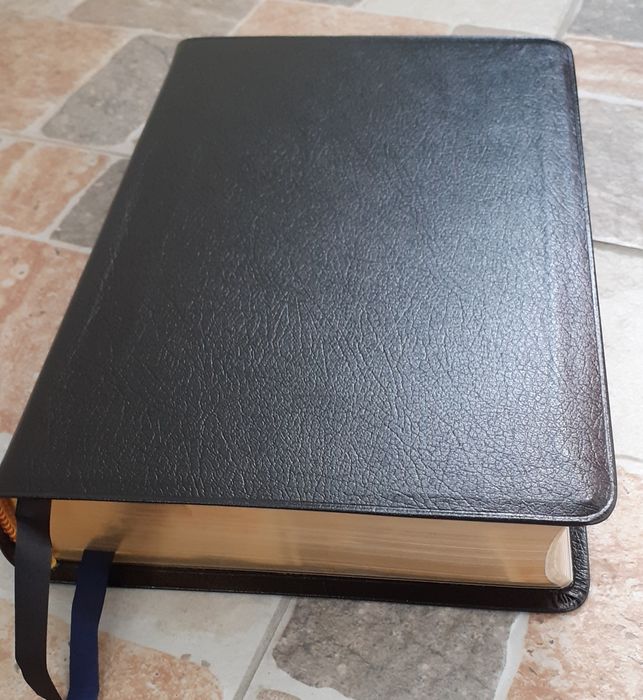 Biblie in engleza NIV