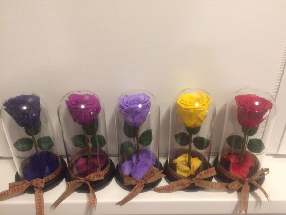 Cadou criogenat conservat in cupola de sticla