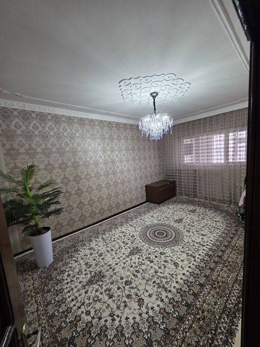 Срочно Кора Камич 2/4   4-Хона