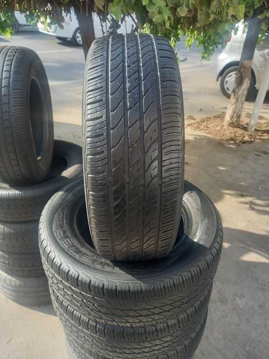 Avto shina demeter 14 bu