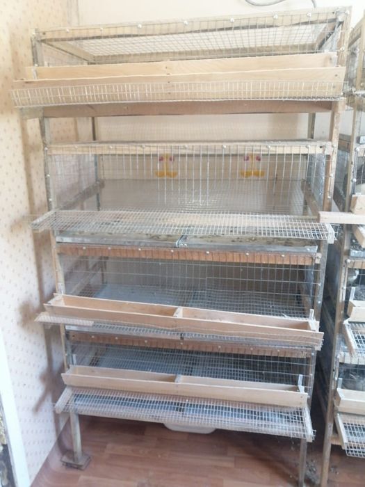 Продаю клетки для перепелов