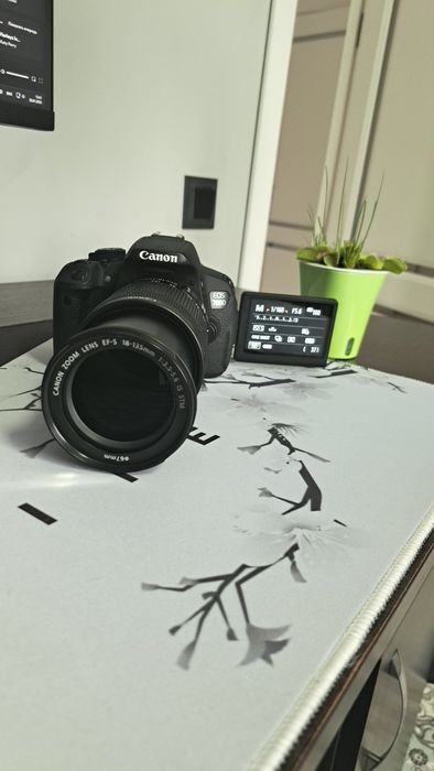 Canon EOS 700D + 18–135 IS STM