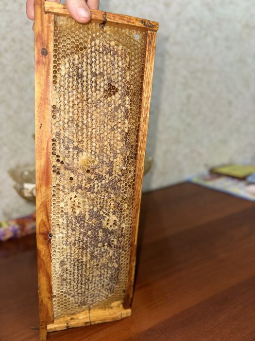 Asal Propolis Ramka | Рамка Мёда Прополис