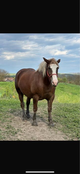 Iapa  disponibila pentru o noua casa