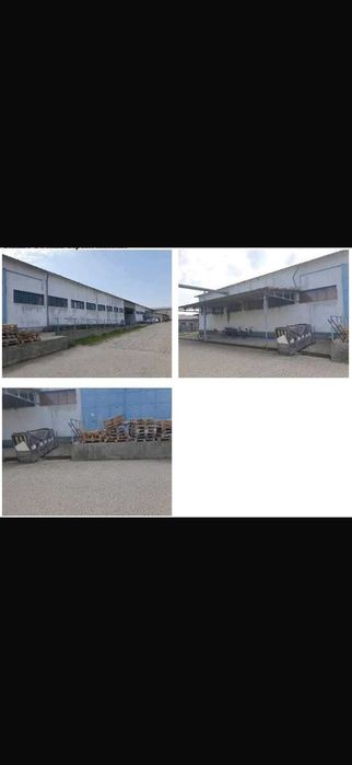hala depozit de inchiriat 972 mp