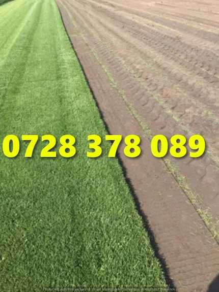 Gazon / Insamantare / Rulouri de Gazon