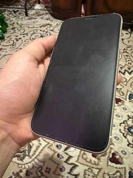 IPhone 11, с документами