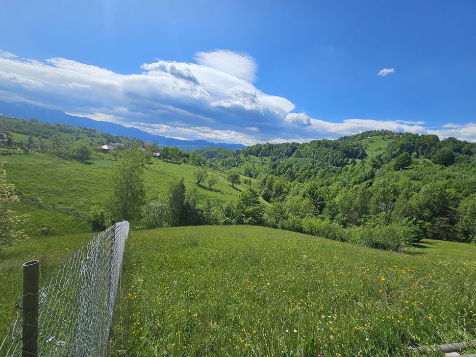 Teren  intravilan Măgura - Moieciu