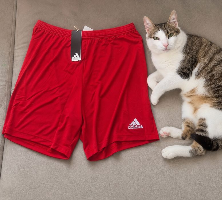 Pantaloni Adidas