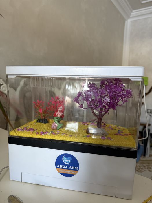 Аквариум для рыб