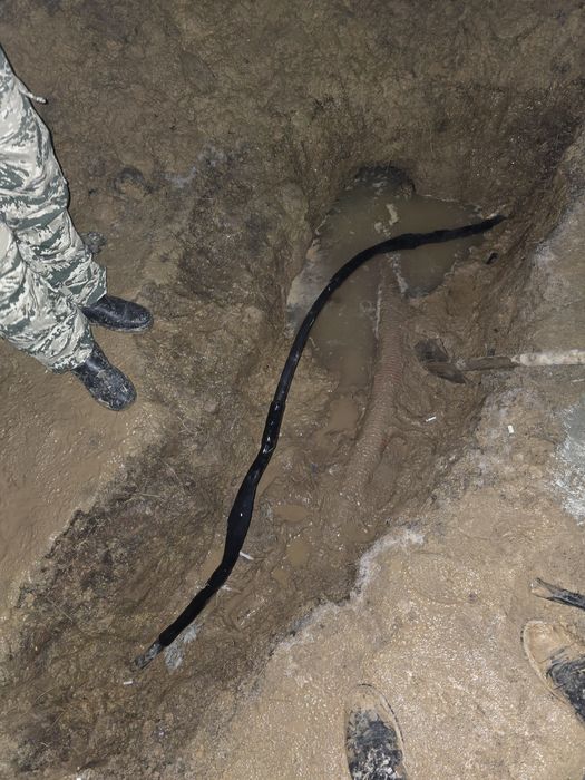 Электрик опытный