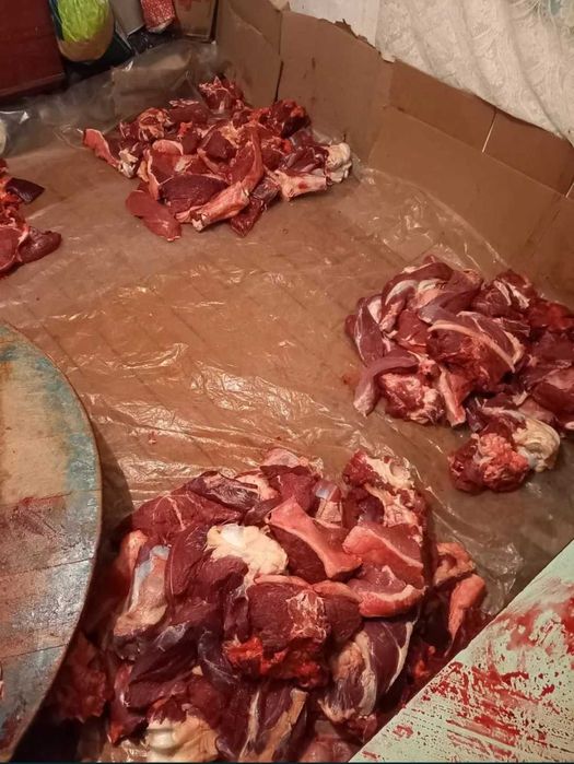 Мясо Ет Говядина Костанай