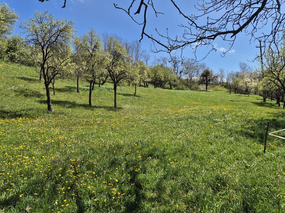 Teren 5000 mp Vatava, jud. Mureș, intabulat, intravilan 5.5 €/mp